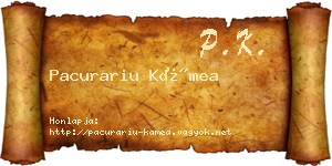 Pacurariu Kámea névjegykártya